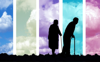 El Tribunal Constitucional respalda la reforma de pensiones y rechaza la demanda de ANO