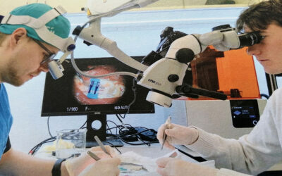 EZKarta y Seguro Médico en Chequia: Guía para Extranjeros