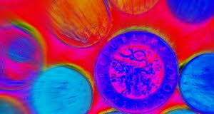 monedas la cerveza checa